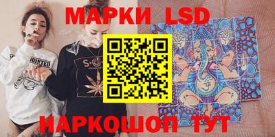 амф Гатчина