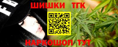 амф Гатчина